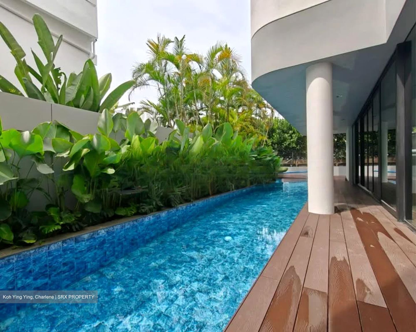 Grove Drive (D10), Detached #541141261